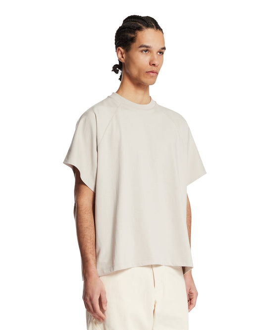 T-shirt Helicoid Grigia